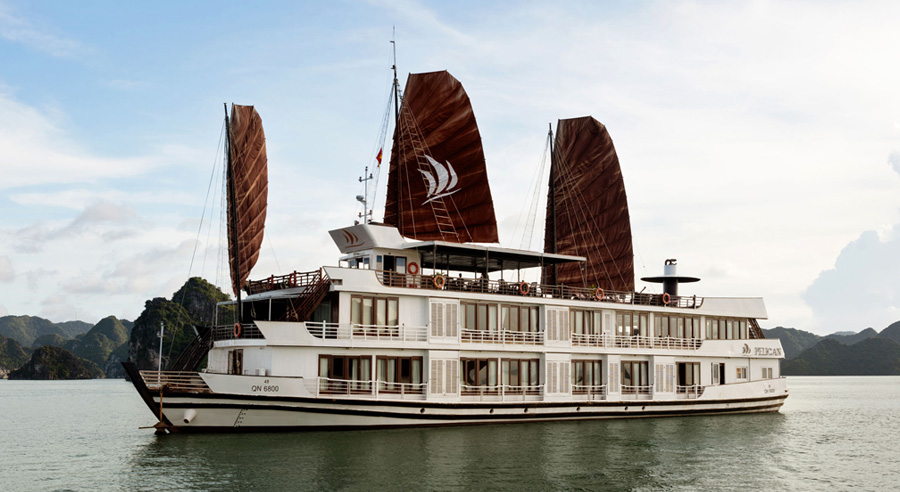 Pelican Cruise - Asia Charm Tours