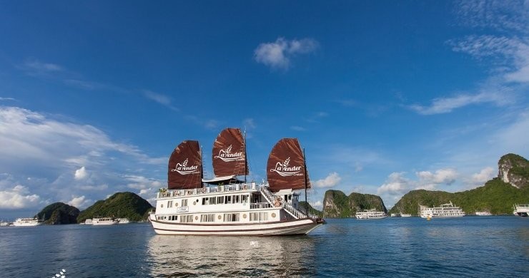 Lavender Cruise - Asia Charm Tours