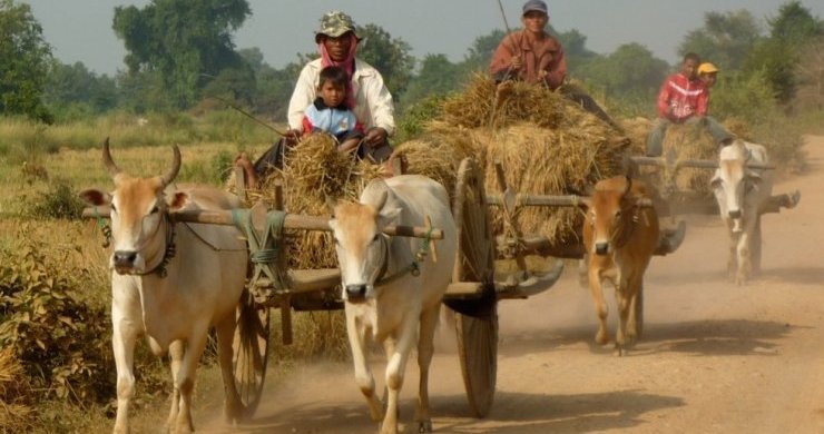 Angkor With Beach Relaxation 7 Days