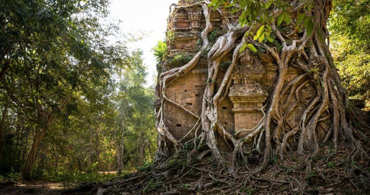 Impressive Cambodia 8 Days