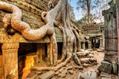 Khmer Treasure 7 Days