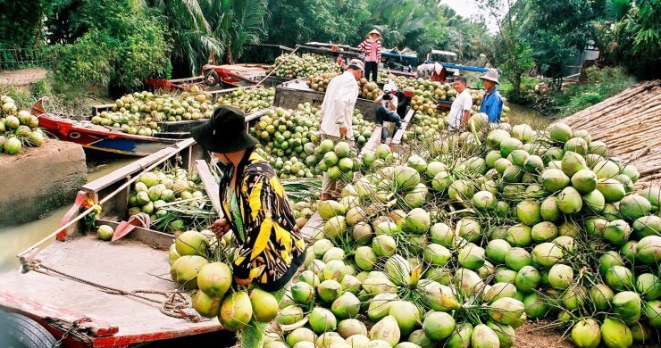 Ben Tre – Ba Lai River Explore Day Trip