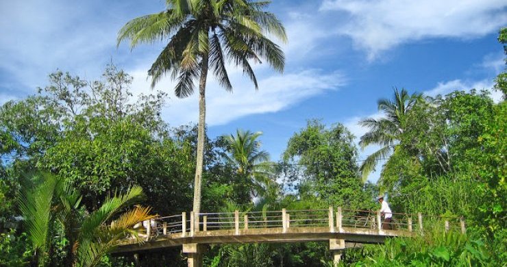 Essential Mekong Delta Full Day