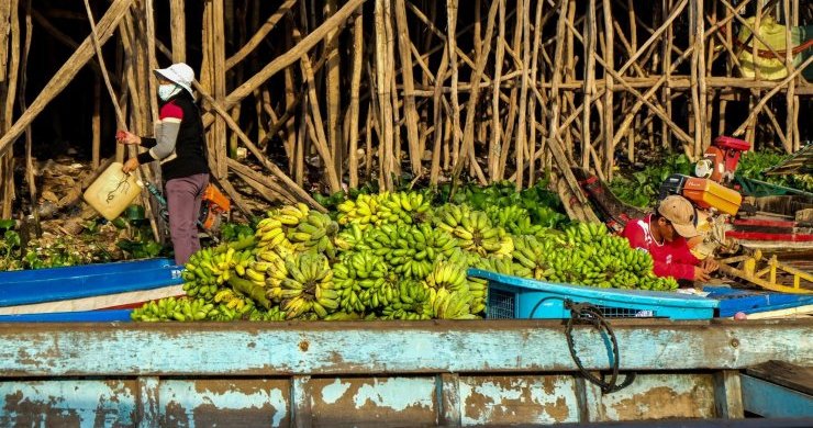 From Mekong Delta To Cambodia 3 Days