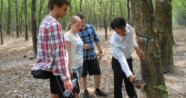 Cu Chi Tunnels & Cooking Class Day Trip