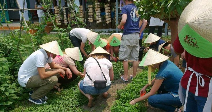 Cu Chi Tunnels & Cooking Class Day Trip