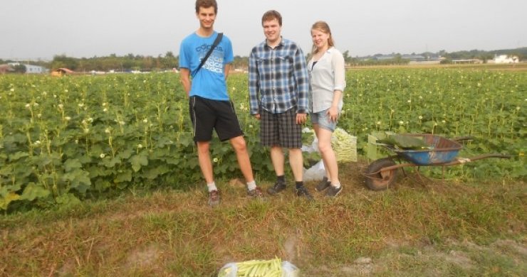 Cu Chi Tunnels & Cooking Class Day Trip