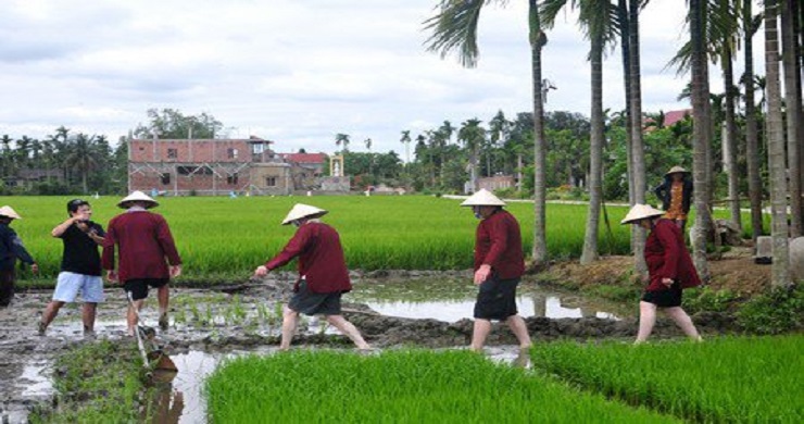 Become A Farmer In Cam Thanh Village