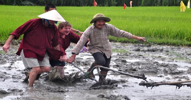 Become A Farmer In Cam Thanh Village