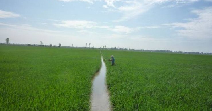 Become A Farmer In Cam Thanh Village