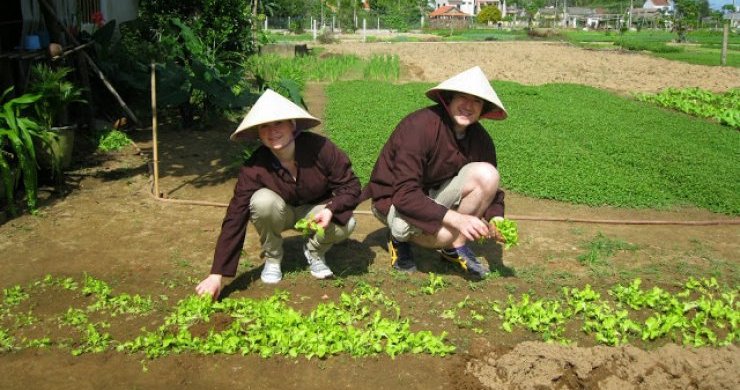 Become A Farmer In Cam Thanh Village