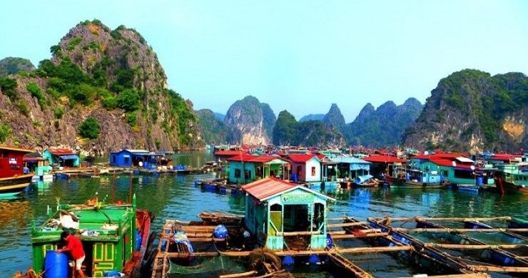 Ha Long & Sapa First Impression 3 Days