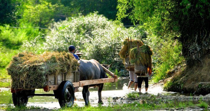 Vietnam and Cambodia Insight 22 Days